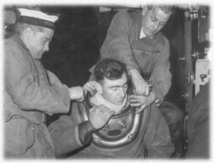 Wookey being Dressed