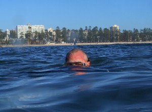 Image courtesy of Janet Clough